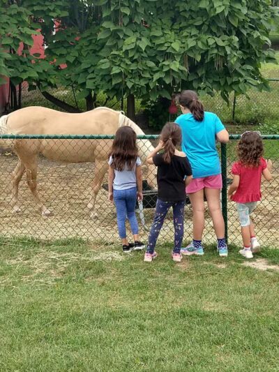 Hess-Hathaway Park - Waterford Township,