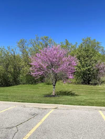 Just Before Sunset On The Trail - Waterford Township,