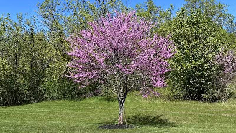 Just Before Sunset On The Trail - Waterford Township,