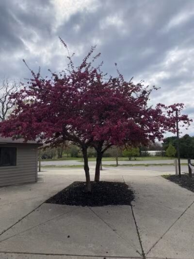 Just Before Sunset On The Trail - Waterford Township,