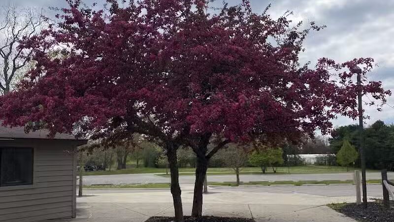 Just Before Sunset On The Trail - Waterford Township,