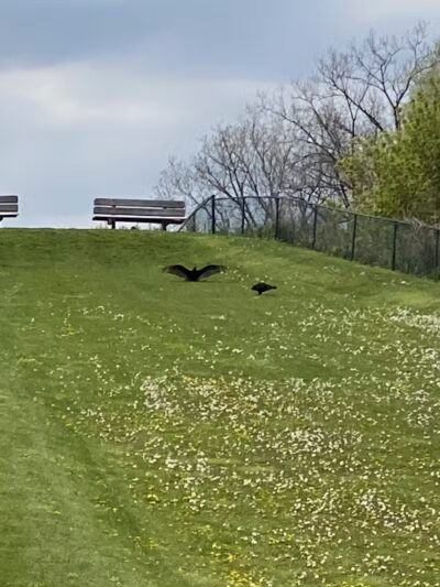 Just Before Sunset On The Trail - Waterford Township,
