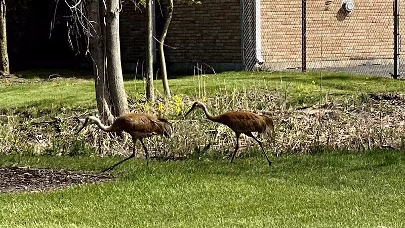 Just Before Sunset On The Trail - Waterford Township,