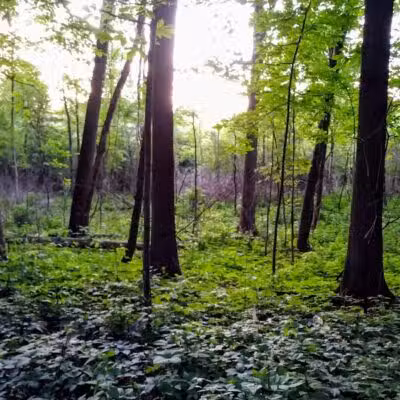 Just Before Sunset On The Trail - Waterford Township,