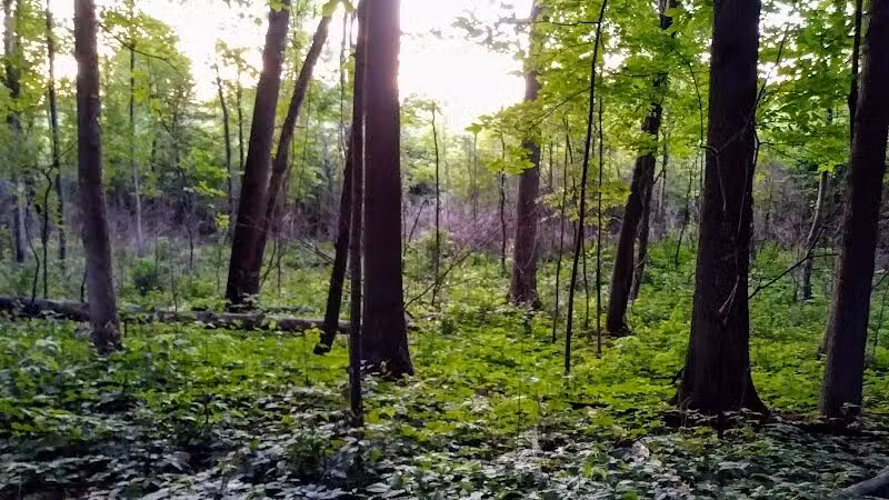 Just Before Sunset On The Trail - Waterford Township,