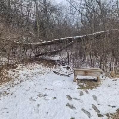 Lookout Lodge - Waterford Township,