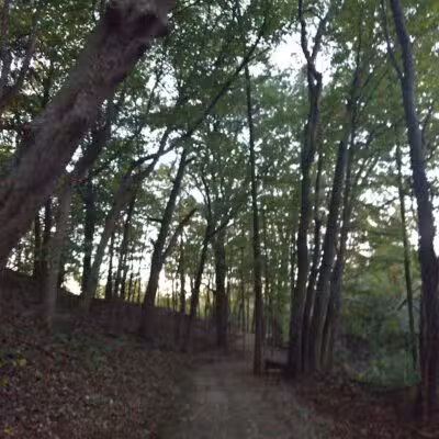 Lookout Lodge - Waterford Township,