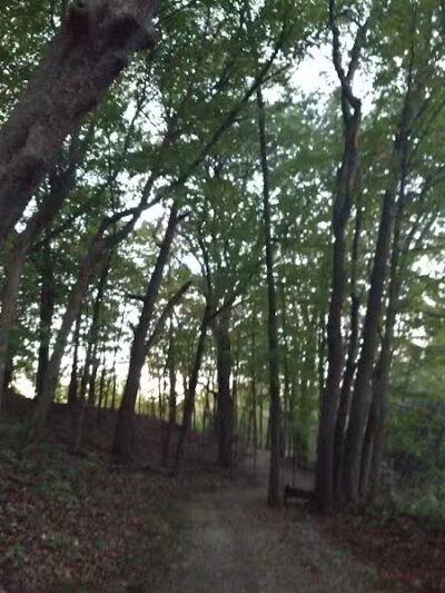 Lookout Lodge - Waterford Township,