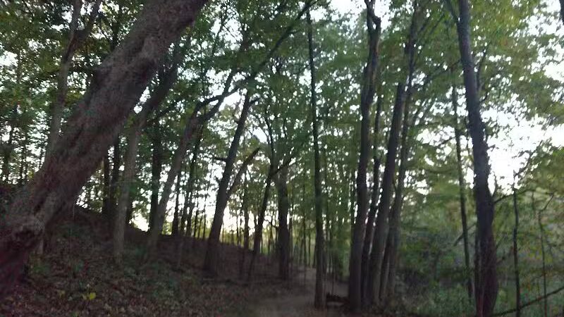 Lookout Lodge - Waterford Township,