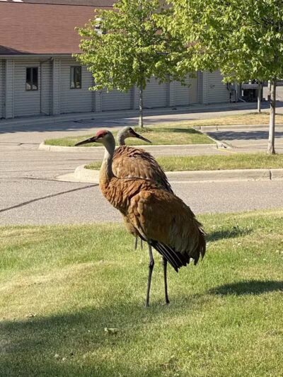 Lookout Lodge - Waterford Township,