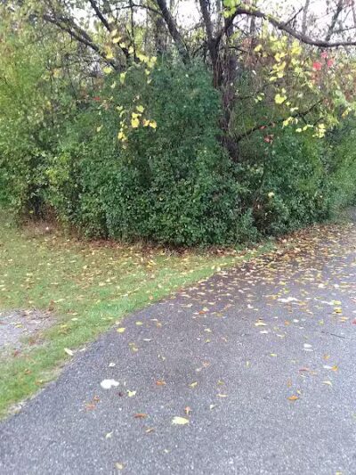 Lookout Lodge - Waterford Township,