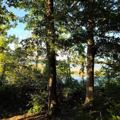Maceday Lake Park - Waterford Township, MI