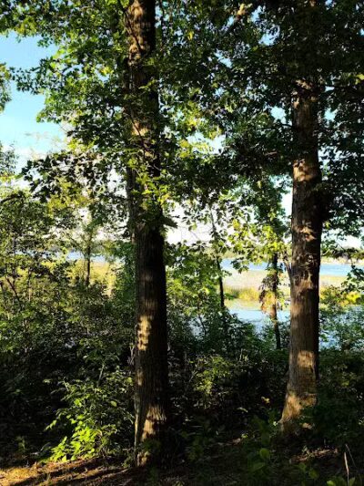 Maceday Lake Park - Waterford Township, MI