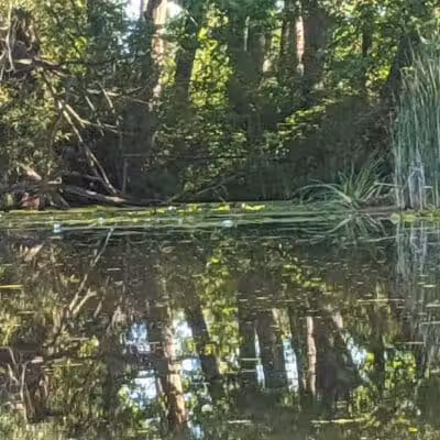 Maceday Lake Park - Waterford Township, MI