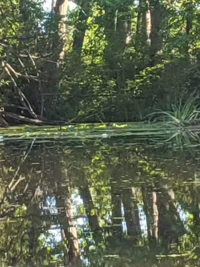 Maceday Lake Park - Waterford Township, MI