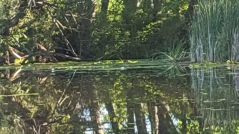 Maceday Lake Park - Waterford Township, MI