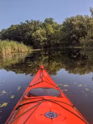 Maceday Lake Park - Waterford Township, MI