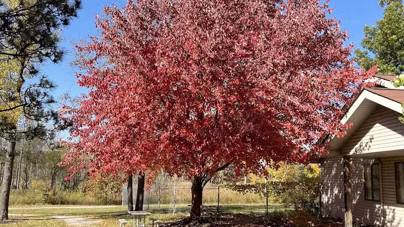 Paradise Peninsula - Waterford Township,