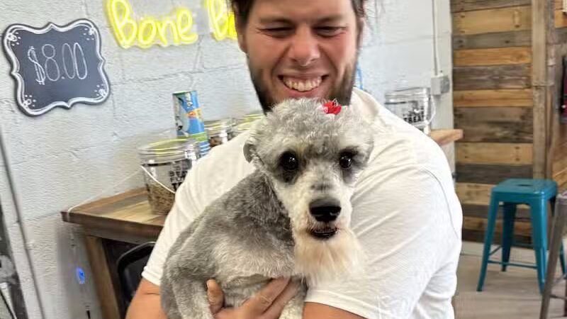 Soggy Doggie - Waterford Township,