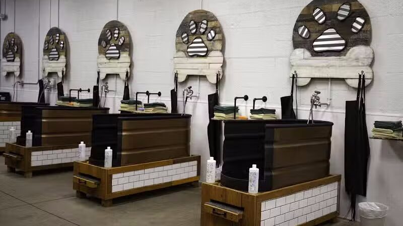 Soggy Doggie - Waterford Township,