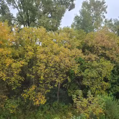 Waterford Oaks County Park - Waterford Township, MI