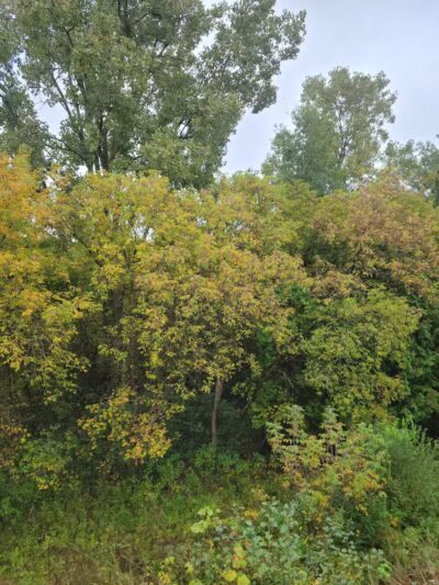 Waterford Oaks County Park - Waterford Township, MI