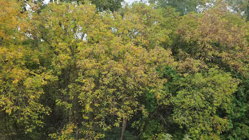 Waterford Oaks County Park - Waterford Township, MI