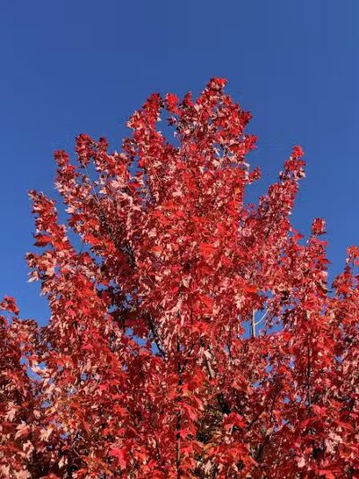 Waterford Oaks County Park - Waterford Township, MI