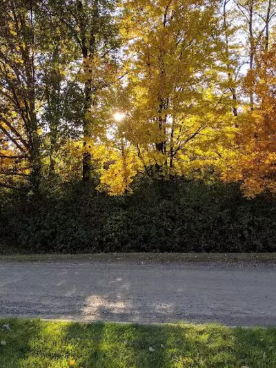 Waterford Oaks County Park - Waterford Township, MI