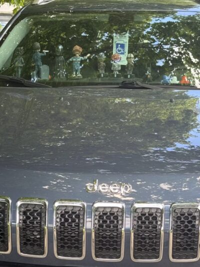 Pat Bowlsby Off-Leash Dog Park - Waterloo, IA