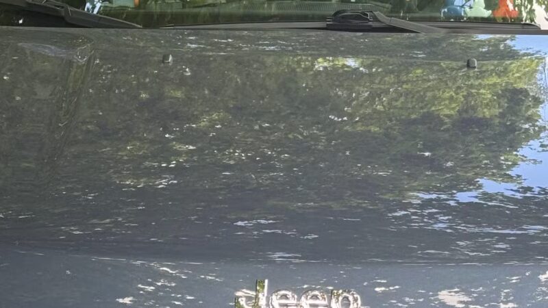 Pat Bowlsby Off-Leash Dog Park - Waterloo, IA