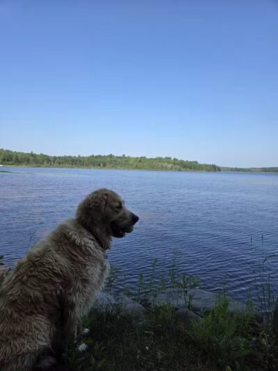 Bass Lake Township Park - Watersmeet,