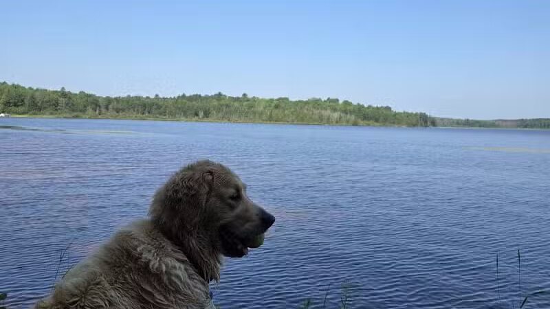 Bass Lake Township Park - Watersmeet,