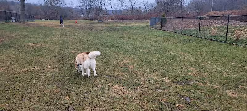 Watertown Dog Park - Watertown, CT