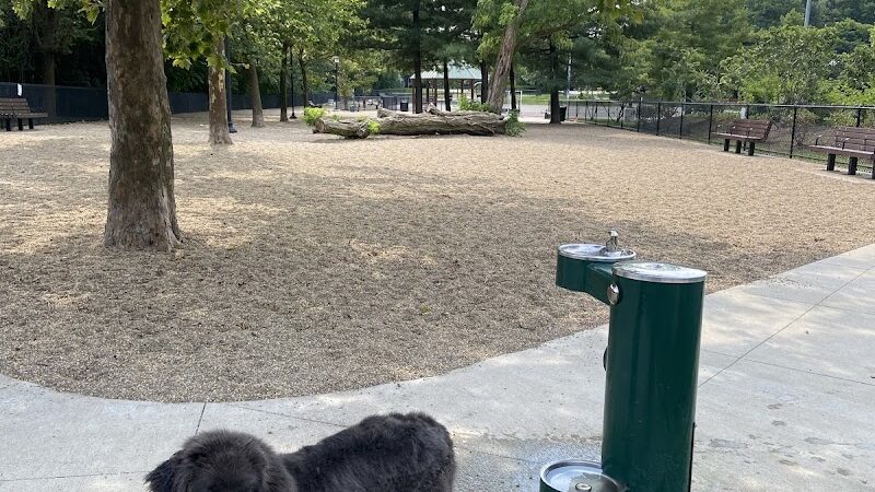 Filippello Dog Park - Watertown, MA