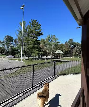 Filippello Dog Park - Watertown, MA