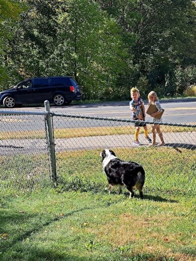 Watertown Dog Park - Watertown, MN