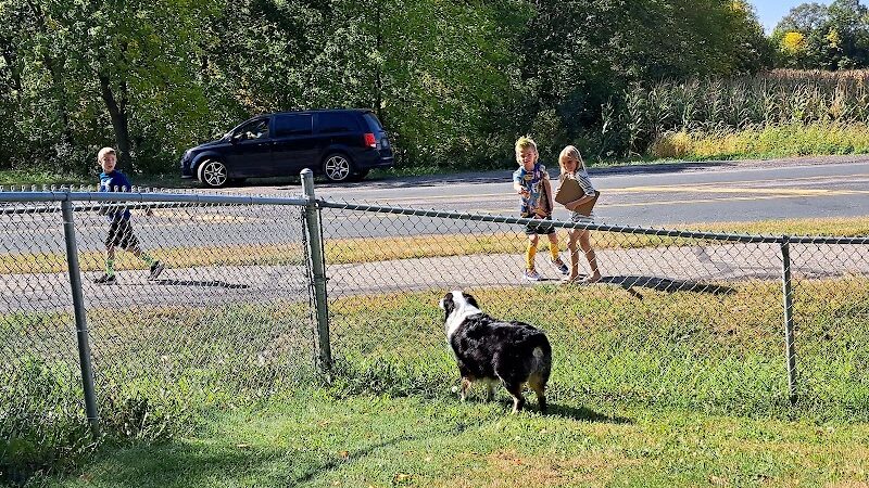 Watertown Dog Park - Watertown, MN