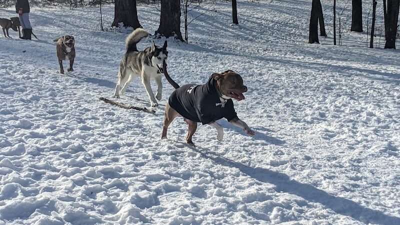 Watertown Dog Park - Watertown, MN
