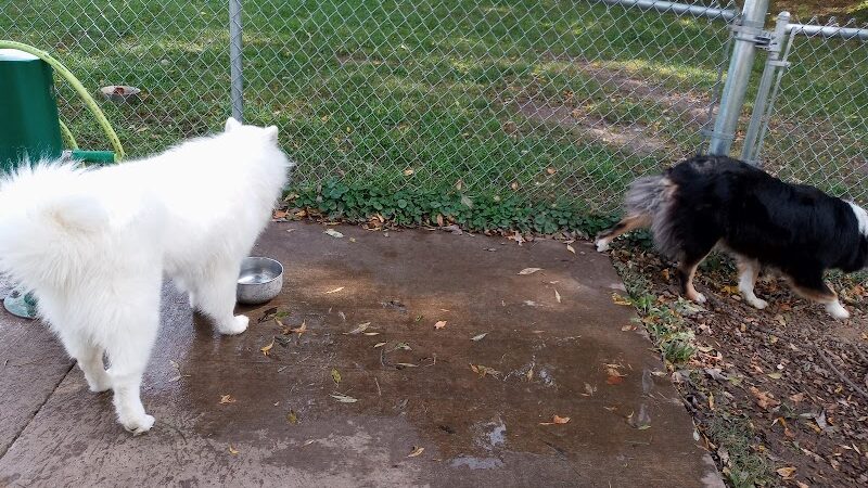 Watertown Dog Park - Watertown, MN