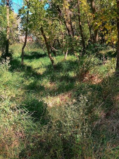 Watertown Dog Park - Watertown, MN