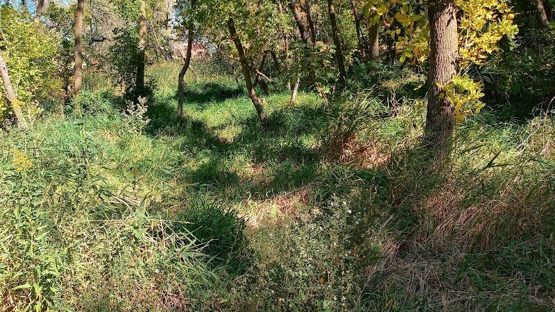 Watertown Dog Park - Watertown, MN