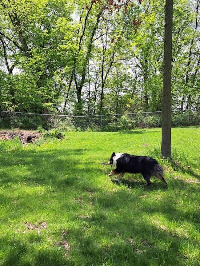 Watertown Dog Park - Watertown, MN