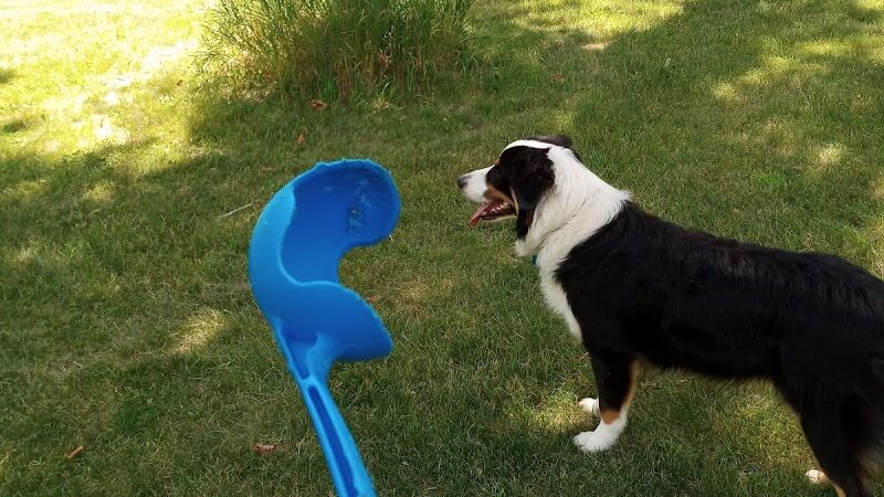 Watertown Dog Park - Watertown, MN