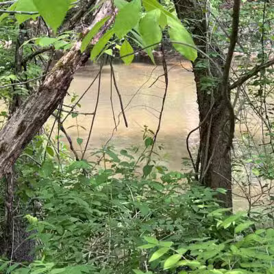 Berrien County Park - Watervliet,