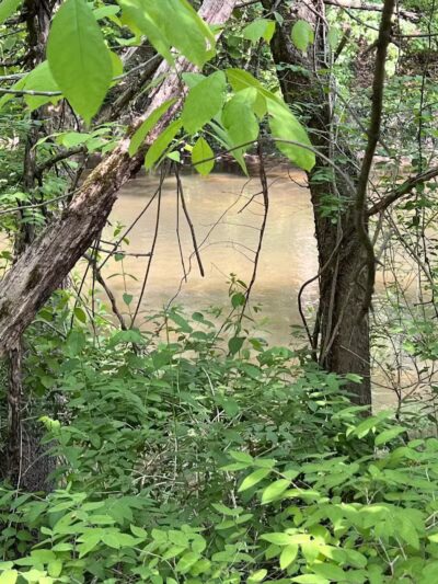 Berrien County Park - Watervliet,