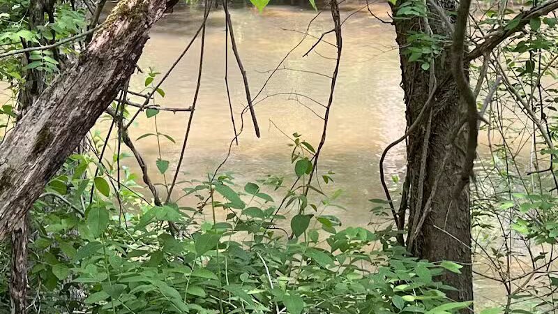 Berrien County Park - Watervliet,