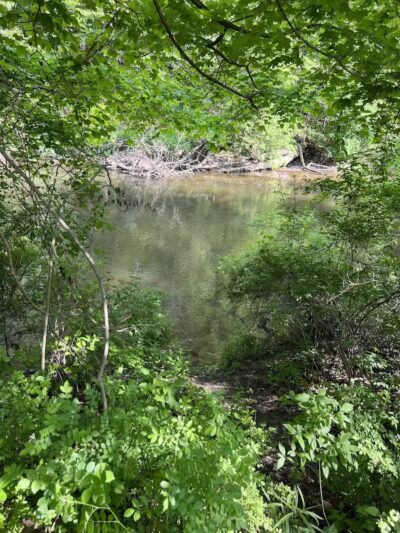 Berrien County Park - Watervliet,