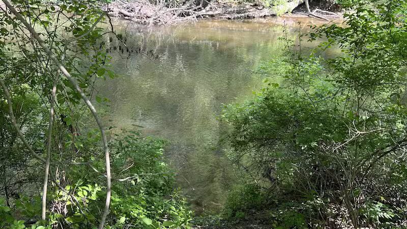 Berrien County Park - Watervliet,