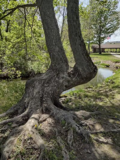 Flaherty Park - Watervliet,